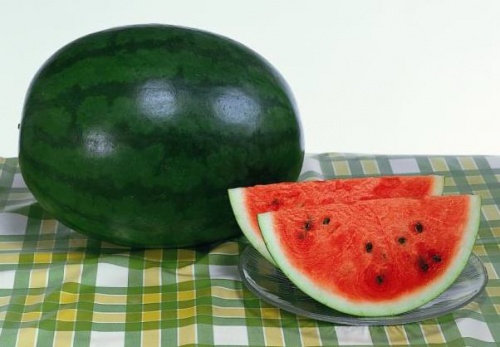 ������ SAKATA ����� ���� �������� F1