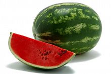 ������ SAKATA ����� ������� F1